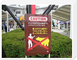 写真集2005
