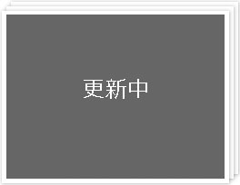 卒論＆修士2010